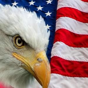 Meet your Posher, Makayla